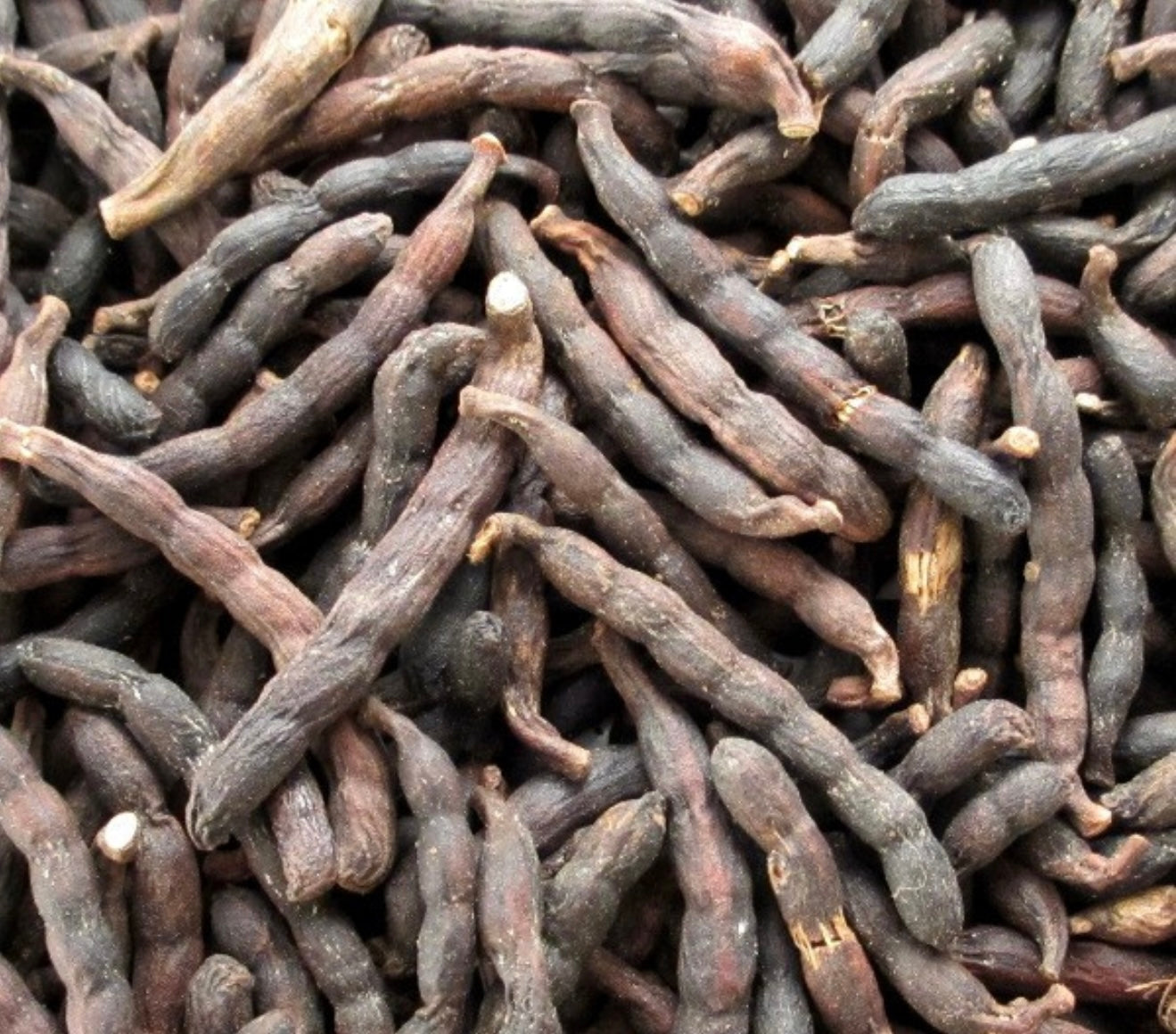 Poivre long africain